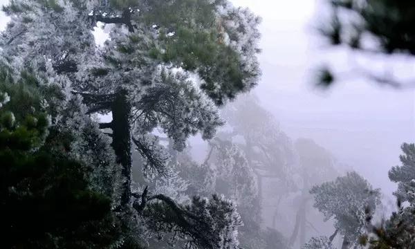 海盗的荣誉