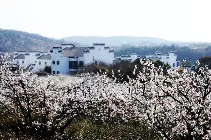 “不靠谱打卡攻略”暗藏风险 有网友按攻略抵达后发现“打卡点”是危楼 多地提示注意安全隐患