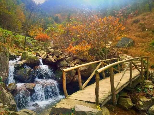 召唤神龙万宁版祖龙