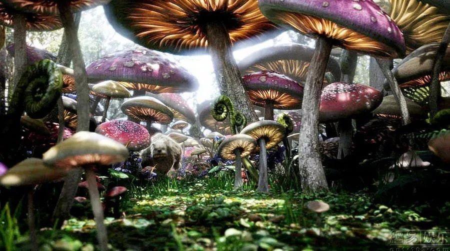 自私的男人有多爱你?-专业的58问答交流平台